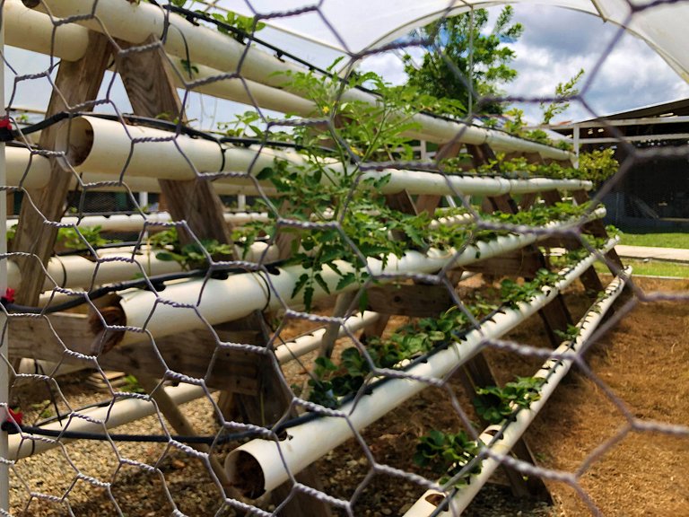 Villa El Almendro - Casa Campo para 11 personas en Jarabacoa