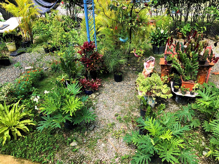 Villa El Almendro - Casa Campo para 11 personas en Jarabacoa